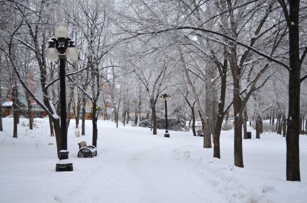 Apartment rents in Winnipeg