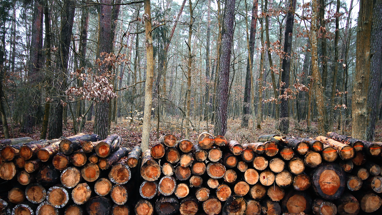 Agriculture in Canada