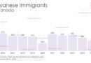 Bar chart showing annual Guyanese Immigration to Canada 2016-2025