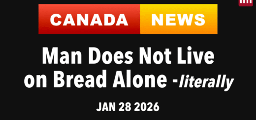 Canada News Canada Groceries Essential Benefits