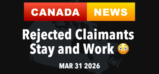 Canada Immigration News Asylum Seekers get work permits